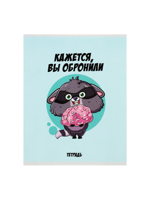 Комплект тетрадей из 5 штук, 48 листов в клетку Calligrata «Дерзкий енот», обложка мелованный картон, блок офсет