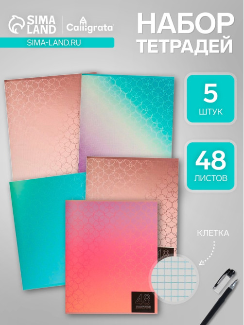 Комплект тетрадей из 5 штук (4 разные + 1 повторяющаяся), 48 листов в клетку Calligrata «Мыльные пузыри», обложка мелованная бумага, блок №2, белизна 7...