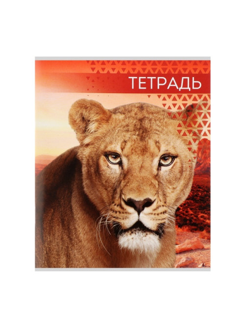 Тетрадь «Дикие кошки», 48 листов, в клетку, МИКС