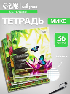 Тетрадь 36 листов в клетку Calligrata «Бабочки», серые листы, МИКС