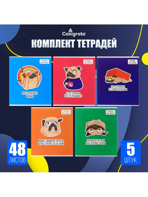Комплект тетрадей из 5 штук, 48 листов в клетку Calligrata «Мопс», обложка мелованный картон, блок офсет