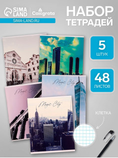Набор тетрадей, 48 листов в клетку Calligrata «Города», серые листы, 5 штук