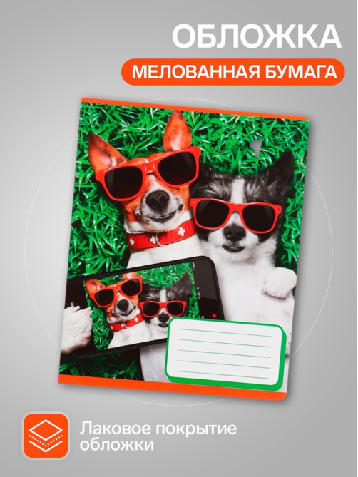 Комплект тетрадей из 10 штук, 12 листов в косую линию Calligrata «СелфиDOG», обложка мелованная бумага, ВД-лак, блок №2, белизна 75% (серые листы), 5 видов ...