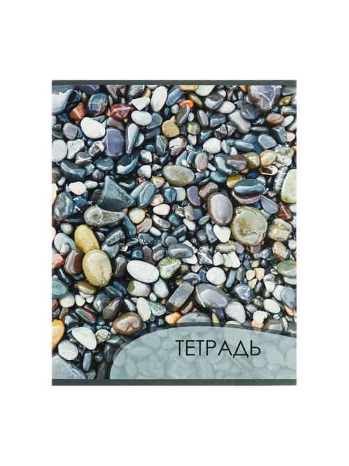 Комплект тетрадей из 4 штук, 96 листов в клетку Calligrata 