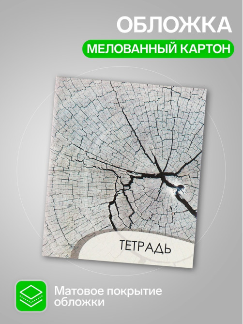 Комплект тетрадей из 4 штук, 96 листов в клетку Calligrata 