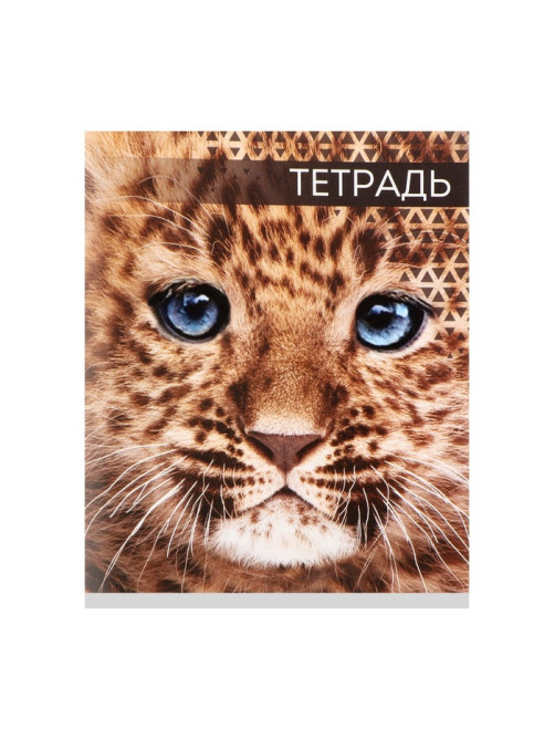 Тетрадь «Дикие кошки», 48 листов, в клетку, МИКС