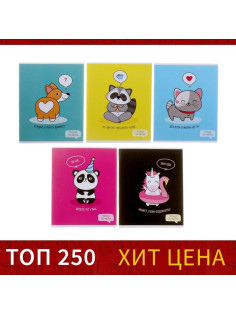 Тетрадь 36 листов в клетку, Calligrata «У меня лапки», МИКС