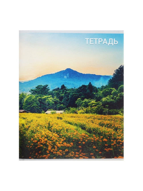 Тетрадь 96 листов, в клетку, Calligrata «Природа», серые листы, МИКС