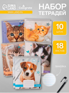 Комплект тетрадей из 10 штук, 18 листов в линию Calligrata «Домашние животные», обложка мелованный картон, ВД-лак, блок офсет, 5 видов по 2 штуки