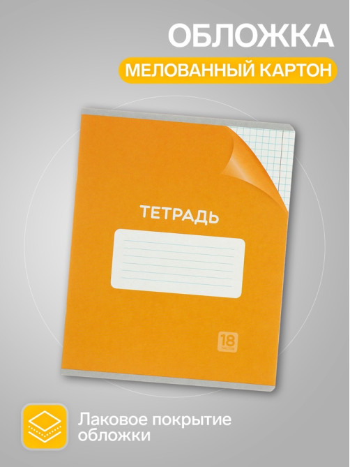 Набор тетрадей 18 листов в клетку Calligrata «Однотонная Классика», обложка мелованный картон, серые листы, 10 шт.