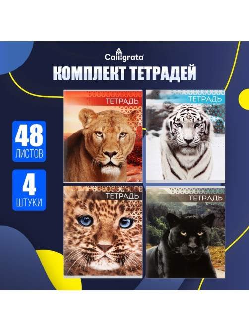 Комплект тетрадей из 4 штук, 48 листов в линейку «Дикие кошки», серые листы