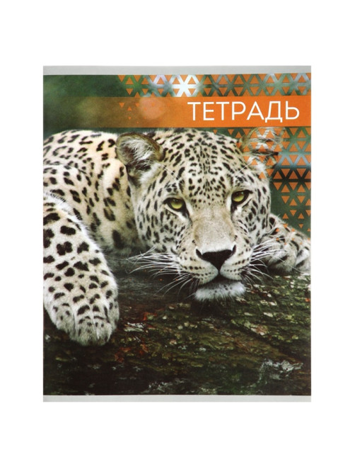 Тетрадь «Дикие кошки», 48 листов, в клетку, МИКС