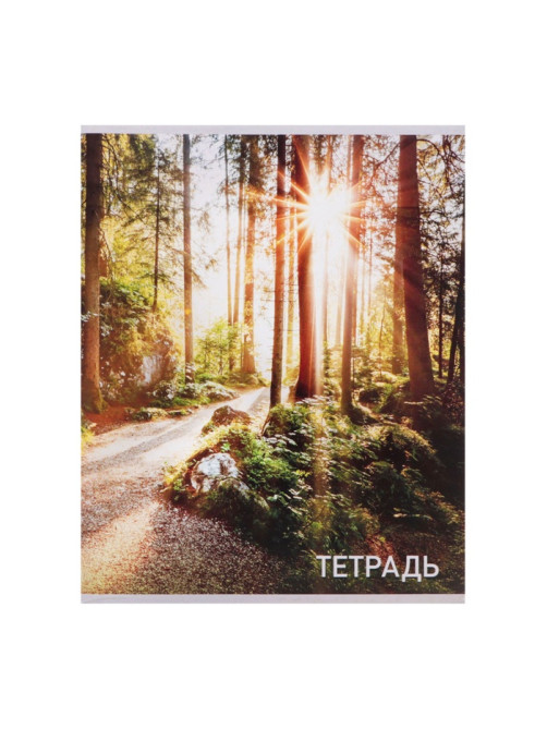 Набор тетрадей, 96 листов в клетку, Calligrata «Природа», серые листы, 4 штуки