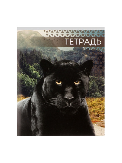 Тетрадь «Дикие кошки», 48 листов, в клетку, МИКС