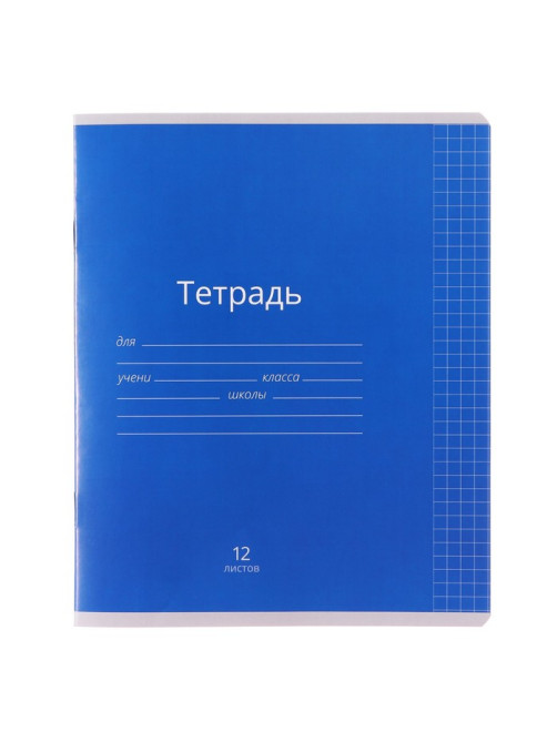 Тетрадь 12 листов в клетку Calligrata «Однотонная Классика яркая», обложка мелованная бумага, ВД-лак, блок офсет, белизна 95%, МИКС