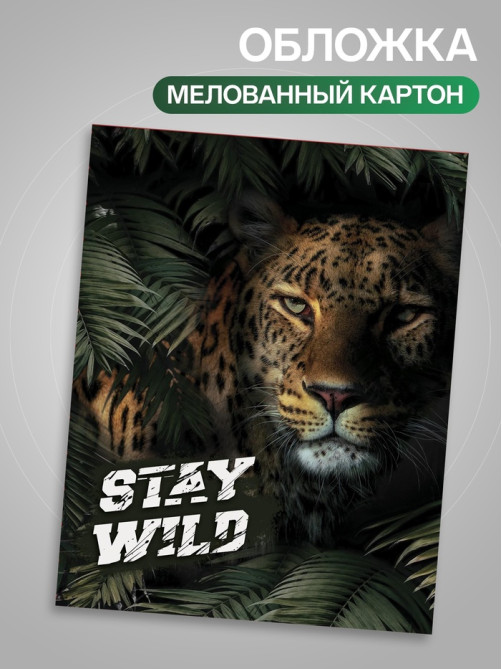 Тетрадь 96 листов в клетку, Calligrata «Хищники», МИКС