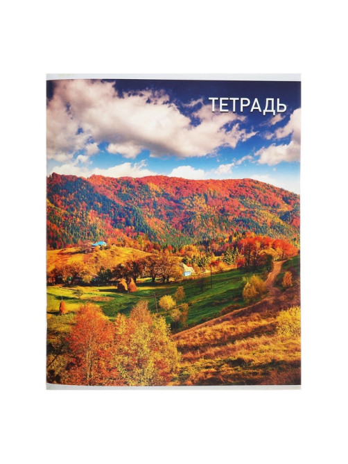 Тетрадь 96 листов, в клетку, Calligrata «Природа», серые листы, МИКС