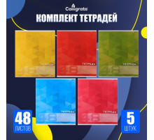 Комплект тетрадей из 5 штук, 48 листов в клетку Calligrata «MonoColor», обложка мелованный картон, блок офсет
