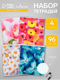Набор тетрадей, 96 листов в клетку Calligrata 