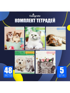 Комплект тетрадей из 5 штук, 48 листов в клетку Calligrata «Котята», обложка мелованный картон, блок офсет