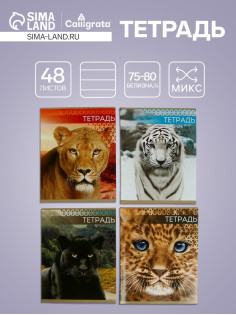 Тетрадь «Дикие кошки», 48 листов, в клетку, МИКС