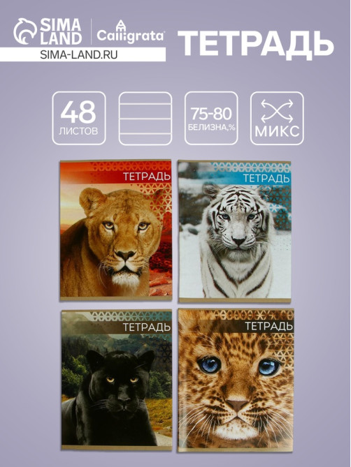 Тетрадь «Дикие кошки», 48 листов, в клетку, МИКС
