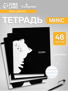 Тетрадь 48 листов в линейку, Calligrata «Кот», МИКС