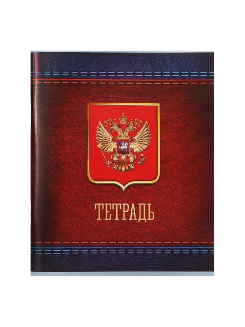 Тетрадь 48 листов в клетку Calligrata «Россия», серые листы, МИКС