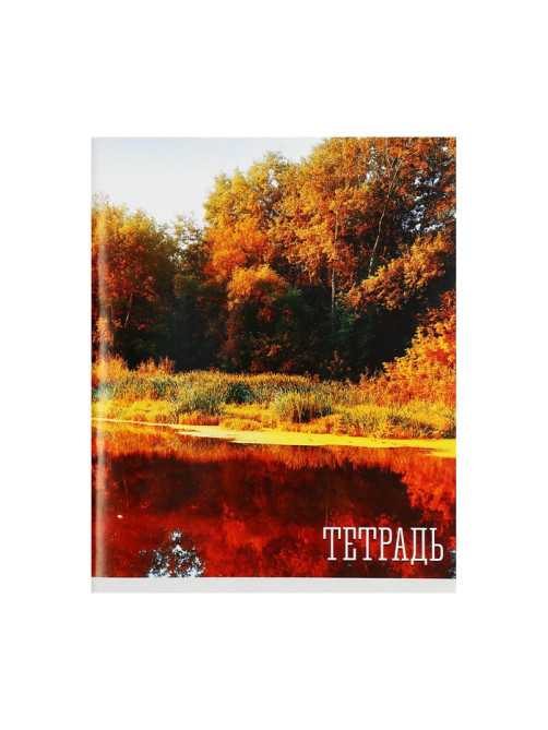 Тетрадь 48 листов в клетку, Calligrata «Времена года», серые листы, МИКС