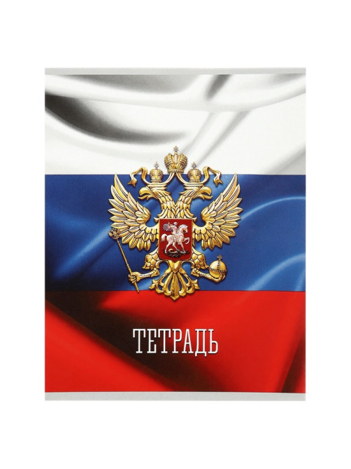 Тетрадь 48 листов в клетку Calligrata «Россия», серые листы, МИКС