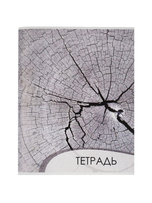 Тетрадь 96 листов в клетку, Calligrata «Текстура 2», МИКС