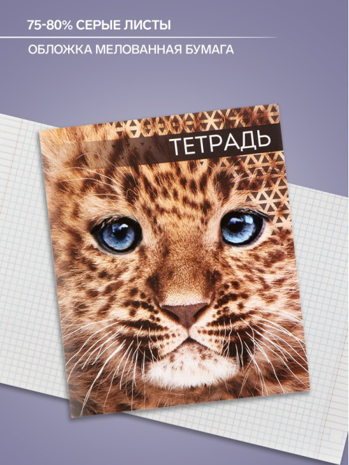 Тетрадь «Дикие кошки», 48 листов, в клетку, МИКС