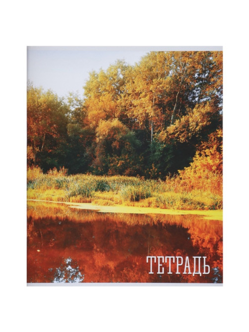 Комплект тетрадей, 48 листов в клетку, Calligrata «Времена года», серые листы, 4 штуки