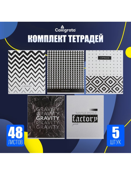 Комплект тетрадей из 5 штук, 48 листов в клетку Calligrata «Ч/Б. Геометрия», обложка мелованный картон, блок офсет