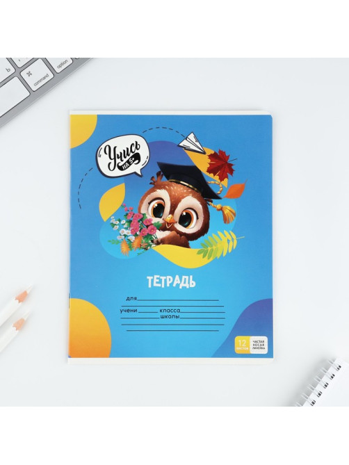 Тетрадь 12 листов в частую косую линейку, А5, на скрепке, блок №1 «Учись на 5+» МИКС