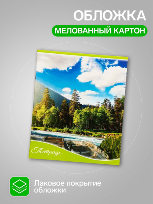 Комплект тетрадей 5 штук, 48 листов в клетку Calligrata «Времена года», обложка мелованный картон, блок офсет