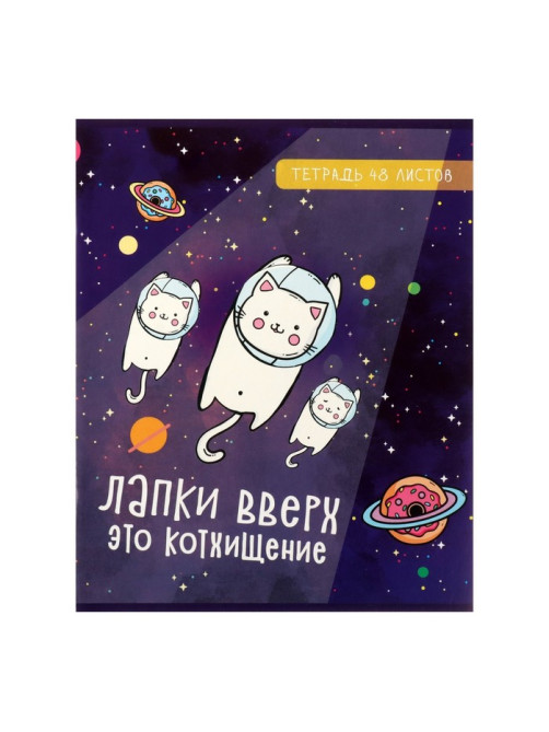Комплект тетрадей из 5 штук, 48 листов в клетку Calligrata «Космокот», обложка мелованный картон, блок офсет