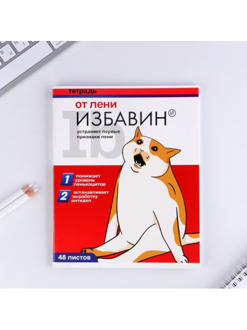 Тетрадь в клетку, 48 л., А5, на скрепке, блок №1 «Котики таблетки» МИКС