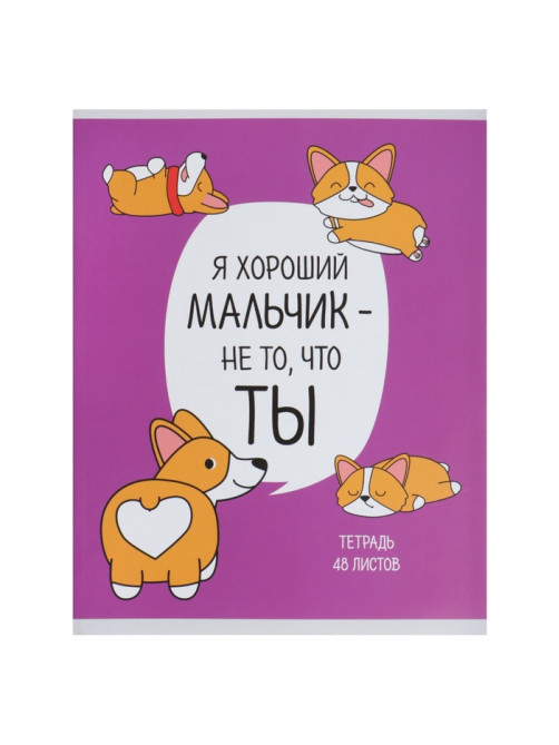 Тетрадь 48 листов в клетку, Calligrata «Лапки», МИКС