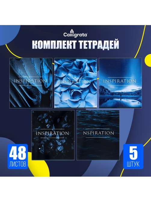 Комплект тетрадей из 5 штук, 48 листов в клетку Calligrata «Вдохновение», обложка мелованный картон, блок офсет