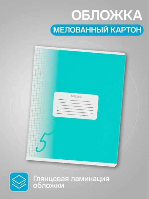 Комплект тетрадей из 10 штук, 18 листов в клетку Calligrata «Пятёрка», обложка мелованный картон, ВД-лак, блок офсет, 5 видов по 2 штуки