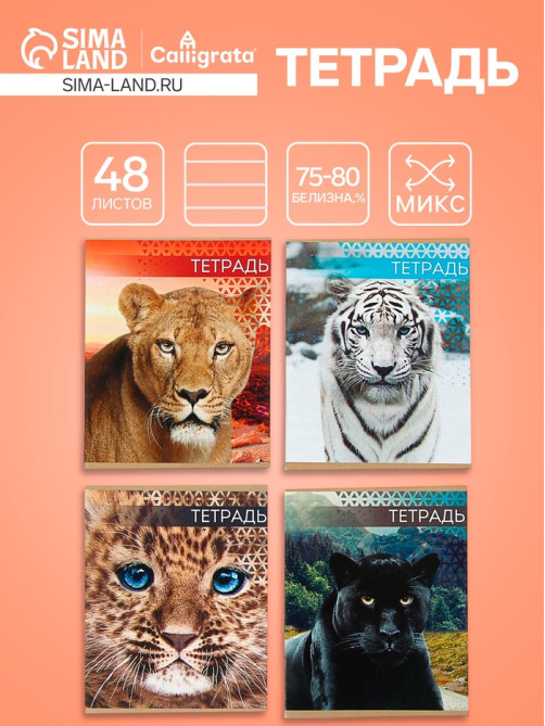Тетрадь 48 листов в линейку, Calligrata «Дикие кошки», МИКС