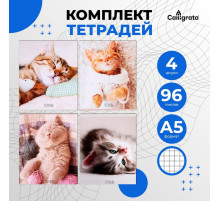 Комплект тетрадей из 4 штук, 96 листов в клетку Calligrata «Котики», обложка мелованный картон, блок офсет