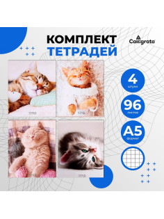 Комплект тетрадей из 4 штук, 96 листов в клетку Calligrata «Котики», обложка мелованный картон, блок офсет
