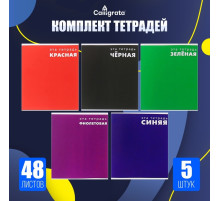Набор тетрадей 48 листов в клетку Calligrata «Это тетрадь», обложка мелованный картон, 5 шт.