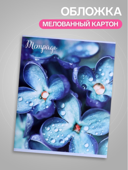 Тетрадь 96 листов в клетку «Цветы», серые листы, МИКС