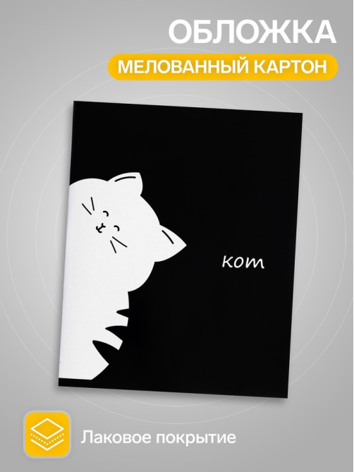 Тетрадь 48 листов в линейку, Calligrata «Кот», МИКС