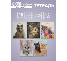 Тетрадь 48 листов в клетку Calligrata «Милые котята», серые листы, МИКС