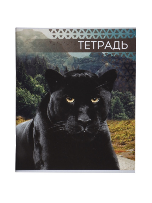 Комплект тетрадей, 48 листов в клетку, Calligrata «Дикие кошки», серые листы, 4 штуки