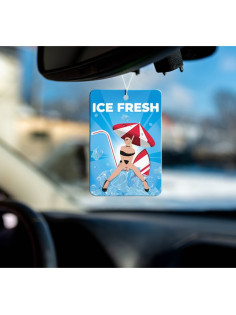 Ароматизатор подвесной Grand Caratt Ice Fresh, картонный